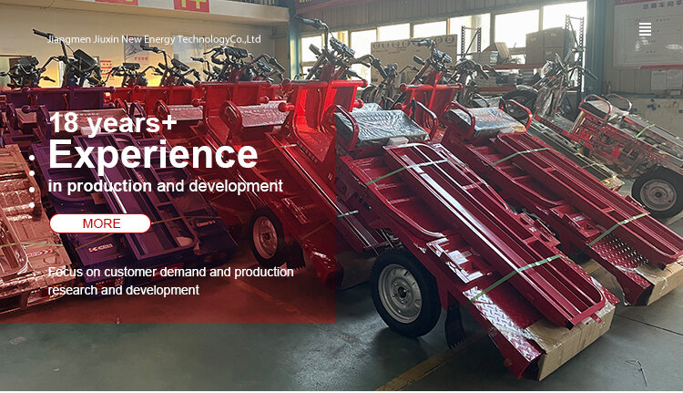 1.25M Electric 3-Wheel Tricycle Open Body 60V Cargo Three-Wheeled Bicycle