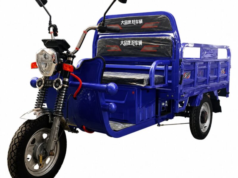 1.25M Electric 3-Wheel Tricycle Open Body 60V Cargo Three-Wheeled Bicycle