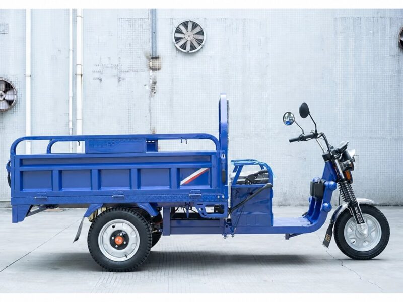 Custom Electric Cargo Tricycle 1000W Power 60V Voltage Iron Steel Cargo Trike Electric Tricycle