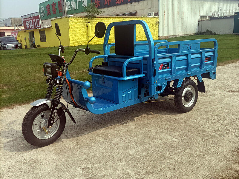 1000W-2000W Electric Tricycle China Factory Supplied E EC Electric Tricycle for Adults 2025 Hot Selling