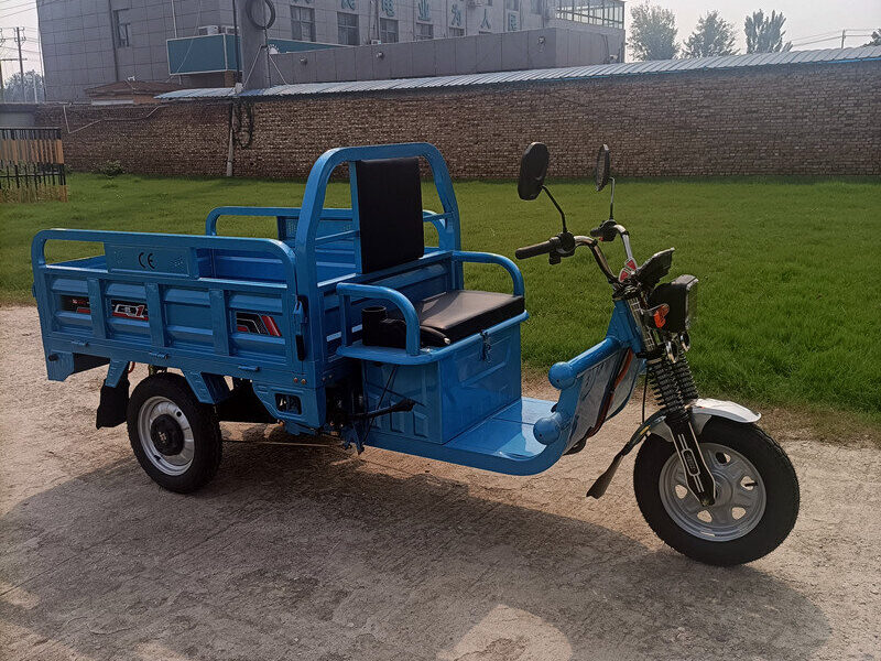 1000W-2000W Electric Tricycle China Factory Supplied E EC Electric Tricycle for Adults 2025 Hot Selling