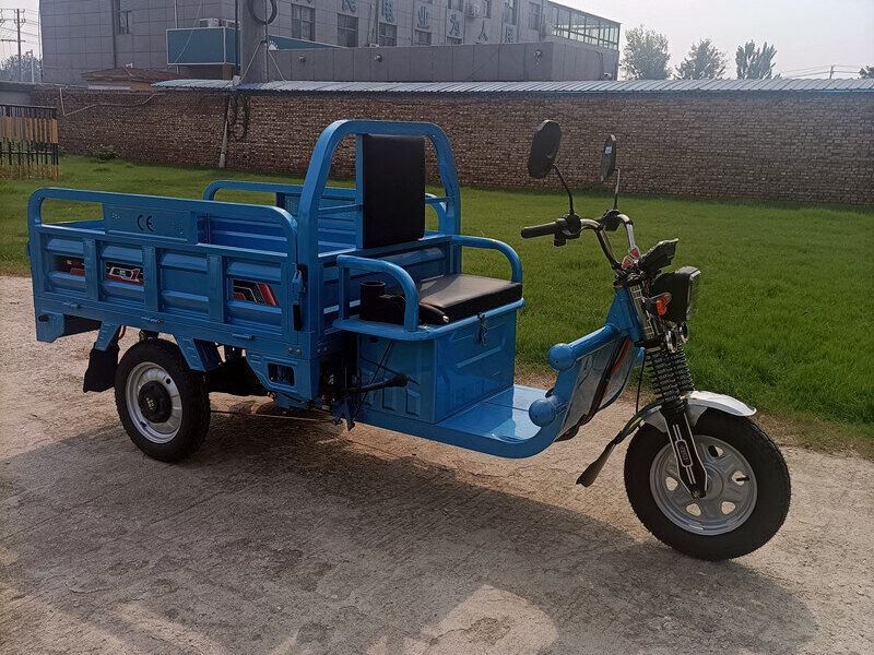 1000W-2000W Electric Tricycle China Factory Supplied E EC Electric Tricycle for Adults 2025 Hot Selling
