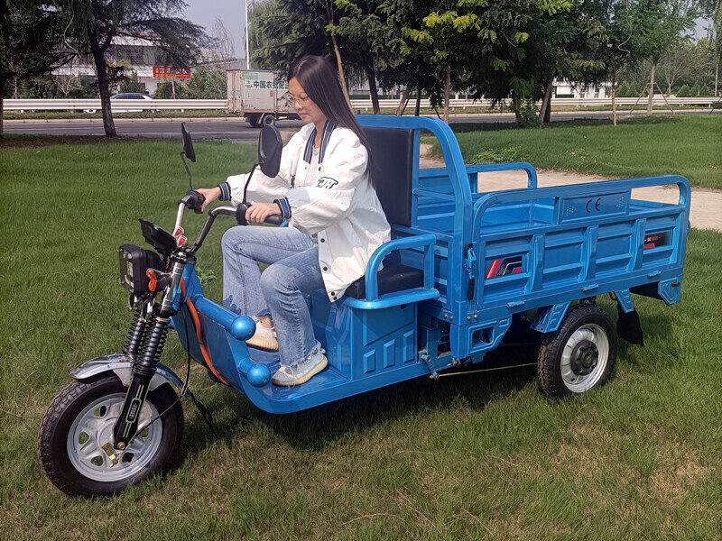 1000W-2000W Electric Tricycle China Factory Supplied E EC Electric Tricycle for Adults 2025 Hot Selling