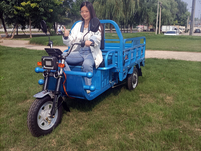 1000W-2000W Electric Tricycle China Factory Supplied E EC Electric Tricycle for Adults 2025 Hot Selling