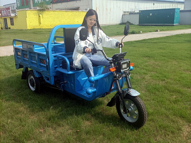 1000W-2000W Electric Tricycle China Factory Supplied E EC Electric Tricycle for Adults 2025 Hot Selling
