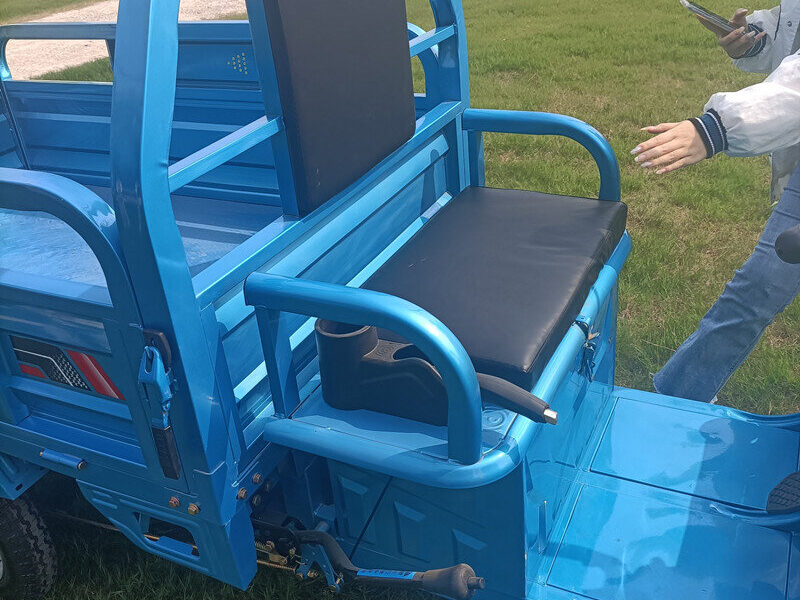 1000W-2000W Electric Tricycle China Factory Supplied E EC Electric Tricycle for Adults 2025 Hot Selling