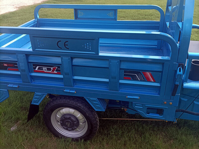 1000W-2000W Electric Tricycle China Factory Supplied E EC Electric Tricycle for Adults 2025 Hot Selling
