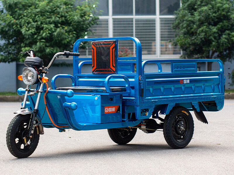 1000W-2000W Electric Tricycle China Factory Supplied E EC Electric Tricycle for Adults 2025 Hot Selling