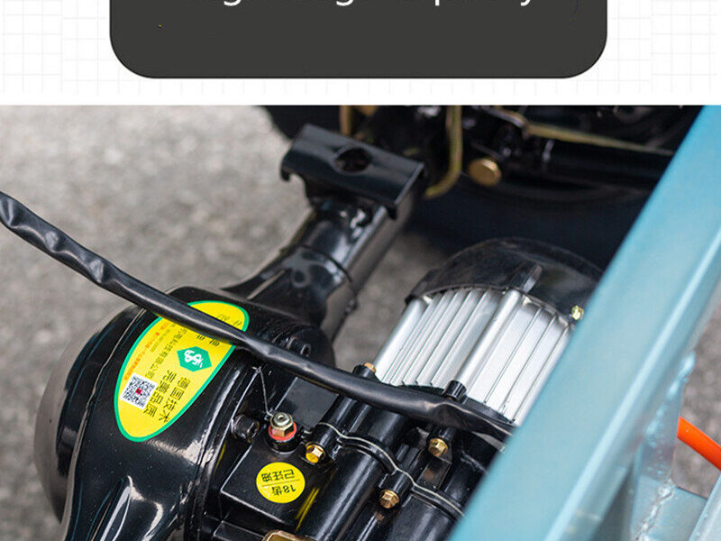 1000W-2000W Electric Tricycle China Factory Supplied E EC Electric Tricycle for Adults 2025 Hot Selling