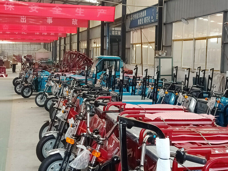 1000W-2000W Electric Tricycle China Factory Supplied E EC Electric Tricycle for Adults 2025 Hot Selling