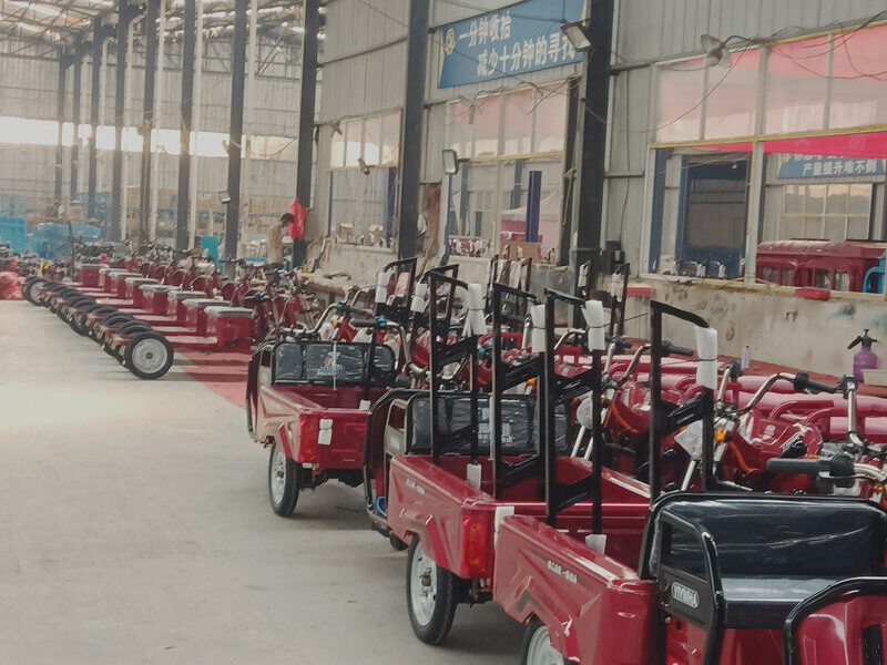1000W-2000W Electric Tricycle China Factory Supplied E EC Electric Tricycle for Adults 2025 Hot Selling