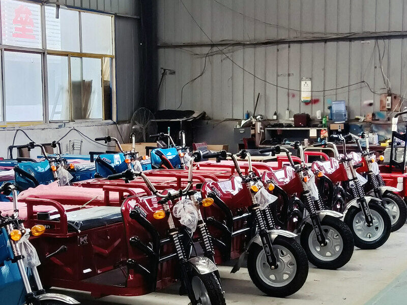 1000W-2000W Electric Tricycle China Factory Supplied E EC Electric Tricycle for Adults 2025 Hot Selling