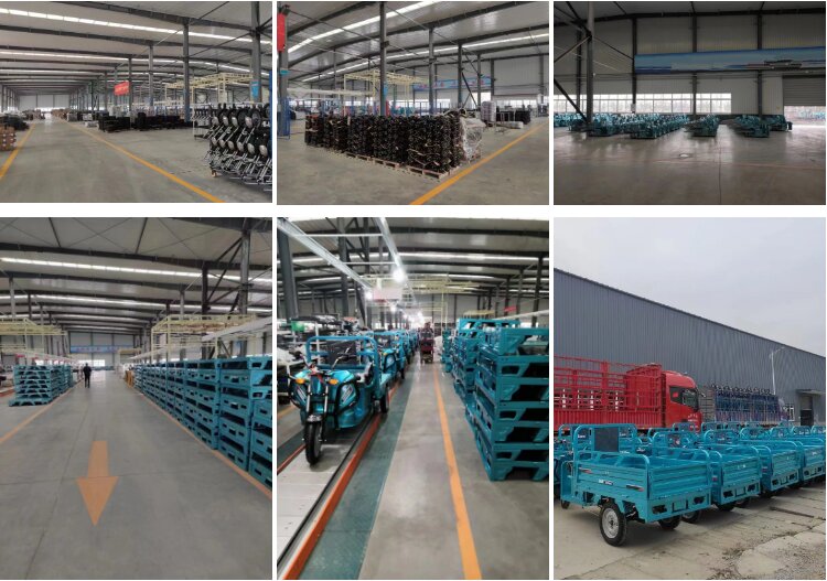 1000W-2000W Electric Tricycle China Factory Supplied E EC Electric Tricycle for Adults 2025 Hot Selling