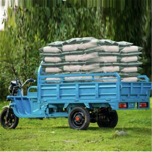 1000W-2000W Electric Tricycle China Factory Supplied E EC Electric Tricycle for Adults 2025 Hot Selling
