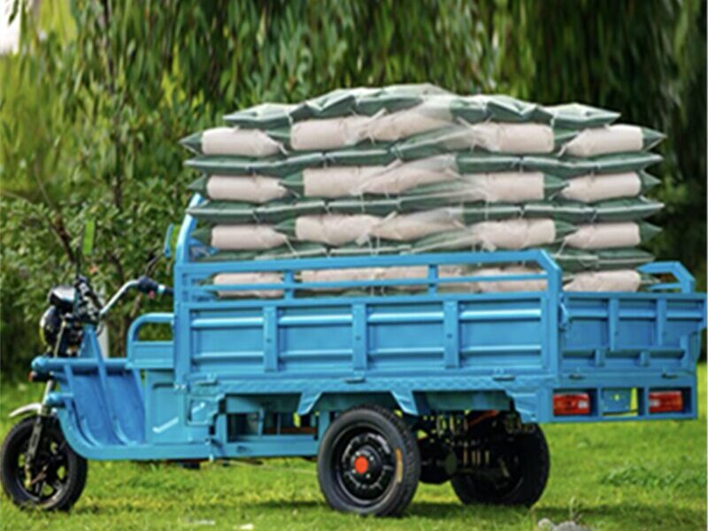 1000W-2000W Electric Tricycle China Factory Supplied E EC Electric Tricycle for Adults 2025 Hot Selling