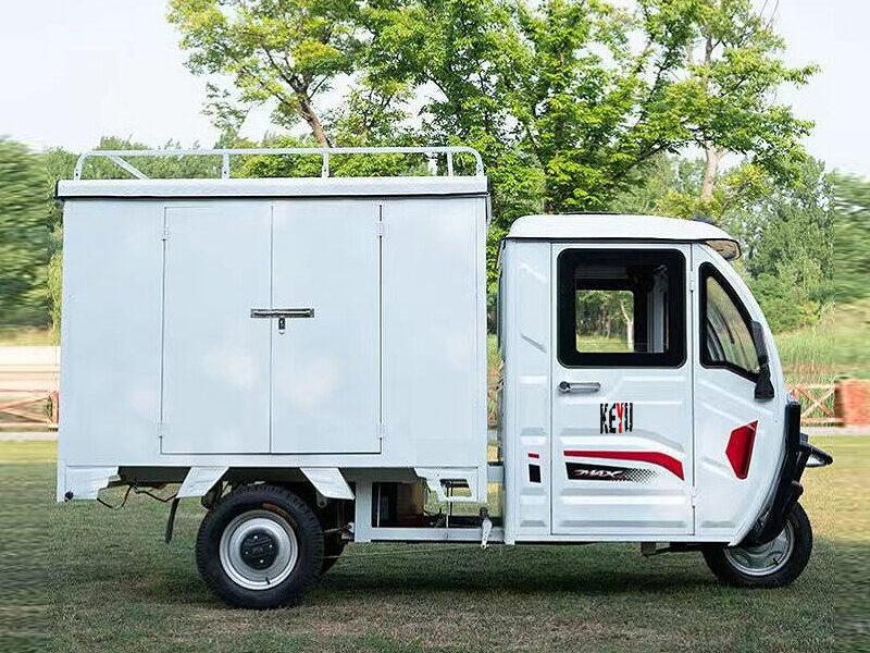 1000W Integrated Differential Motor Electric Delivery Van 3 Wheels Cabin Cargo Tricycle Full Closed Cab 48v Electric Tricycles