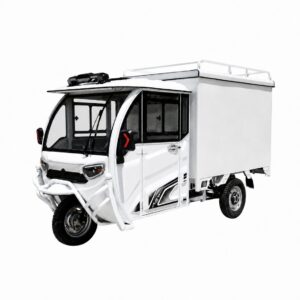 1000W Integrated Differential Motor Electric Delivery Van 3 Wheels Cabin Cargo Tricycle Full Closed Cab 48v Electric Tricycles