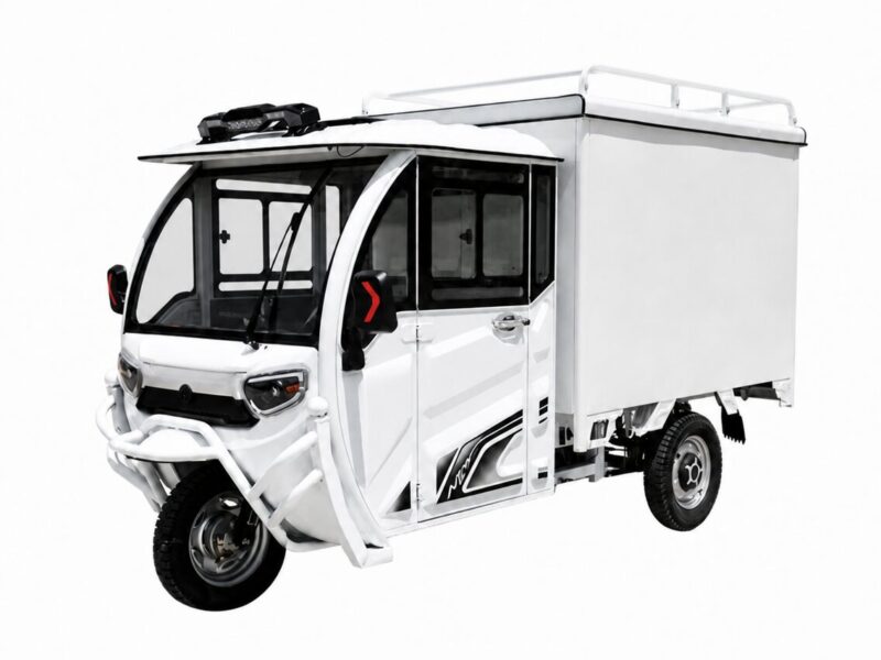 1000W Integrated Differential Motor Electric Delivery Van 3 Wheels Cabin Cargo Tricycle Full Closed Cab 48v Electric Tricycles