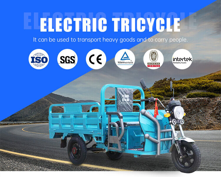 1200w 3 Wheel Electric Cargo Tricycle
