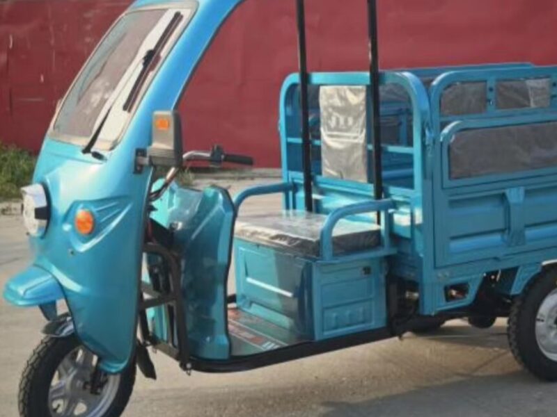 1200w 3 Wheel Electric Cargo Tricycle