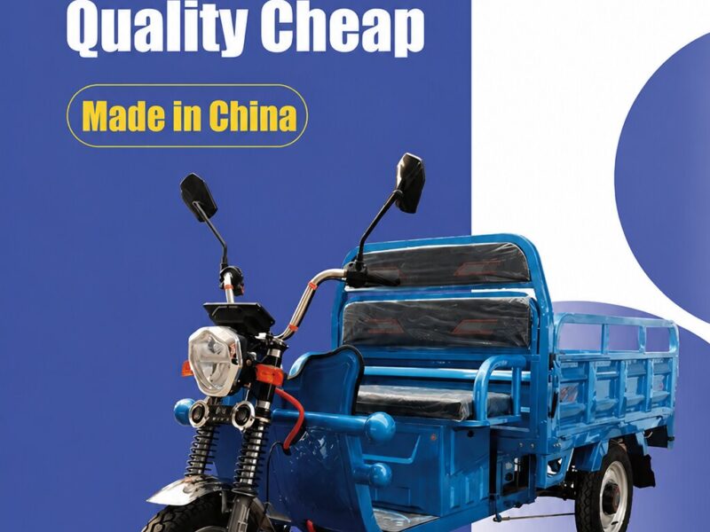 Custom Electric Cargo Tricycle 1000W Power 60V Voltage Iron Steel Cargo Trike Electric Tricycle