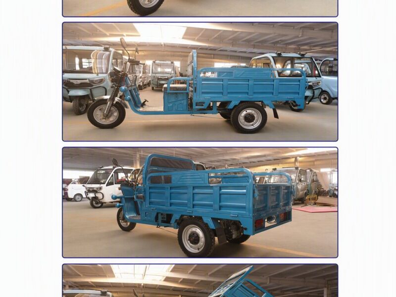 1200W Commercial Electric Cargo Tricycle for Adults 3-Wheel Large Capacity Cargo Bed 200-300kg Payload 50-70km Range