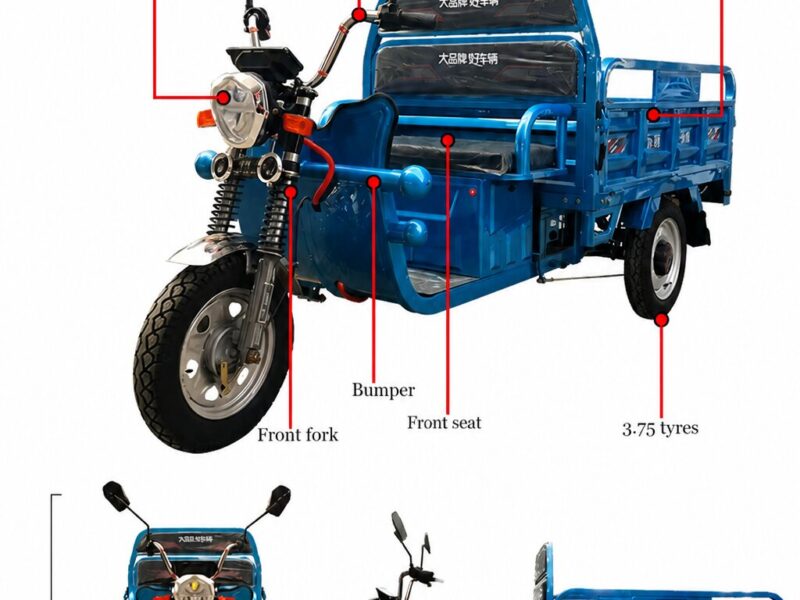 1200W Commercial Electric Cargo Tricycle for Adults 3-Wheel Large Capacity Cargo Bed 200-300kg Payload 50-70km Range