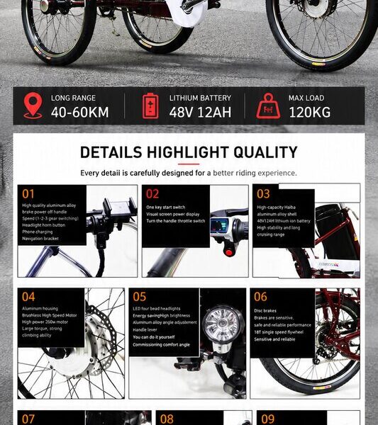 20 Inch Electric Tricycle for Adults Cargo Electric Trike 48V Utility Three Wheel Electric Bike with Large Rear Basket OEM