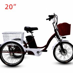 20 Inch Electric Tricycle for Adults Cargo Electric Trike 48V Utility Three Wheel Electric Bike with Large Rear Basket OEM