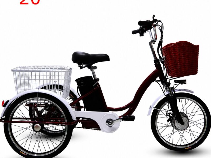 20 Inch Electric Tricycle for Adults Cargo Electric Trike 48V Utility Three Wheel Electric Bike with Large Rear Basket OEM