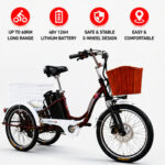 20 Inch Electric Tricycle for Adults Cargo Electric Trike 48V Utility Three Wheel Electric Bike with Large Rear Basket OEM - image 2