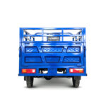 201-250cc Gasoline Cargo Tricycle Three Wheeler Motorcycle for Goods Transport - image 4