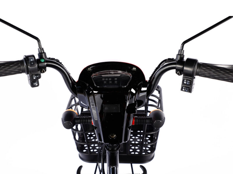 2023 Hot Sale 600W 48V 3 Wheel Electric Bicycle Adult Electric Tricycle Cargo Ebike Without Basket