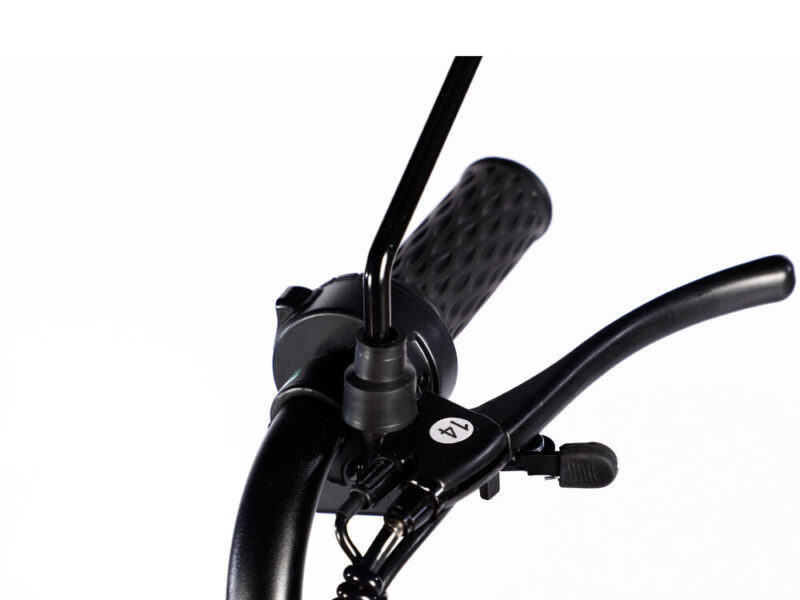 2023 Hot Sale 600W 48V 3 Wheel Electric Bicycle Adult Electric Tricycle Cargo Ebike Without Basket