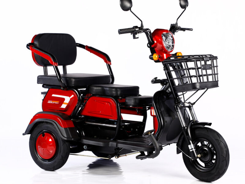 2023 Hot Sale 600W 48V 3 Wheel Electric Bicycle Adult Electric Tricycle Cargo Ebike Without Basket