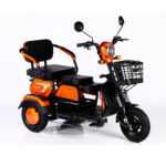 2023 Hot Sale 600W 48V 3 Wheel Electric Bicycle Adult Electric Tricycle Cargo Ebike Without Basket - image 2