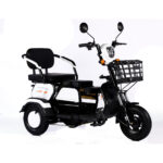 2023 Hot Sale 600W 48V 3 Wheel Electric Bicycle Adult Electric Tricycle Cargo Ebike Without Basket - image 4