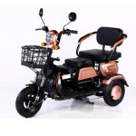 2023 Hot Sale 600W 48V 3 Wheel Electric Bicycle Adult Electric Tricycle Cargo Ebike Without Basket - image 6