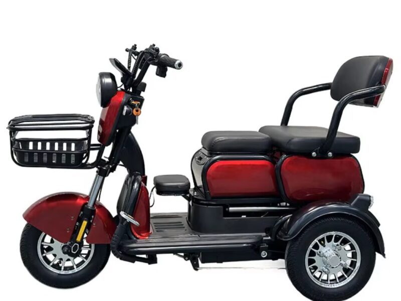 2024 Factory Sale 600W 650W 800W EV Tricycle 3 Wheel Electric Tricycle Trike for Sale