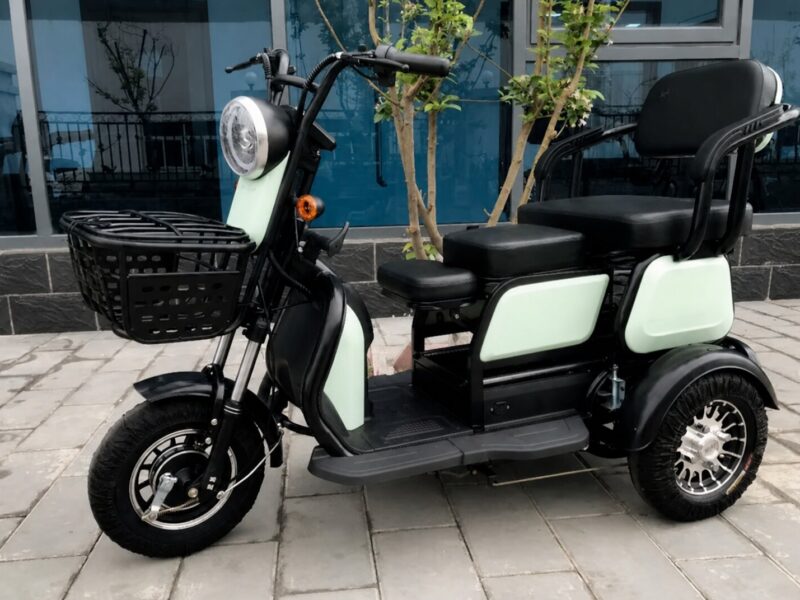 2025 China New Model Electric Tricycle Cargo Vehicle EEC Certified 3-Wheel Mobility Electric Tricycle for Adults Use Passenger