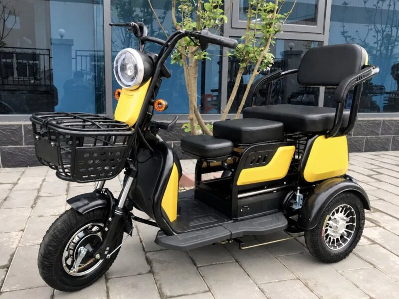 2025 China New Model Electric Tricycle Cargo Vehicle EEC Certified 3-Wheel Mobility Electric Tricycle for Adults Use Passenger