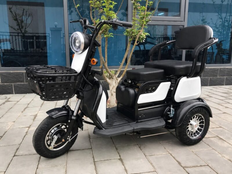 2025 China New Model Electric Tricycle Cargo Vehicle EEC Certified 3-Wheel Mobility Electric Tricycle for Adults Use Passenger