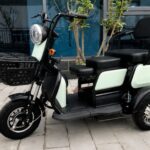 2025 China New Model Electric Tricycle Cargo Vehicle EEC Certified 3-Wheel Mobility Electric Tricycle for Adults Use Passenger - image 3