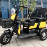 2025 China New Model Electric Tricycle Cargo Vehicle EEC Certified 3-Wheel Mobility Electric Tricycle for Adults Use Passenger - image 4