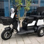 2025 China New Model Electric Tricycle Cargo Vehicle EEC Certified 3-Wheel Mobility Electric Tricycle for Adults Use Passenger - image 5