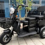 2025 China New Model Electric Tricycle Cargo Vehicle EEC Certified 3-Wheel Mobility Electric Tricycle for Adults Use Passenger - image 6
