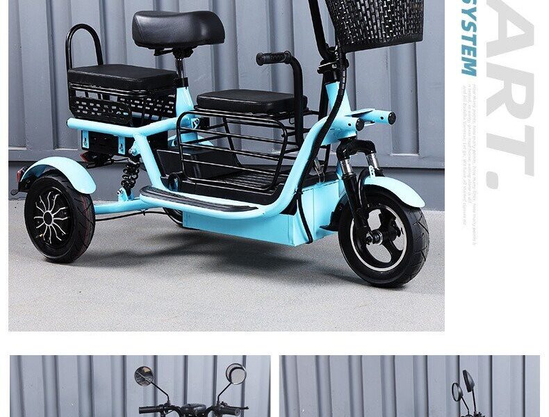 2025 EEC Certified Electric Tricycle Open Body 3-Wheel Bicycle Passenger & Cargo Vehicle 36V Voltage