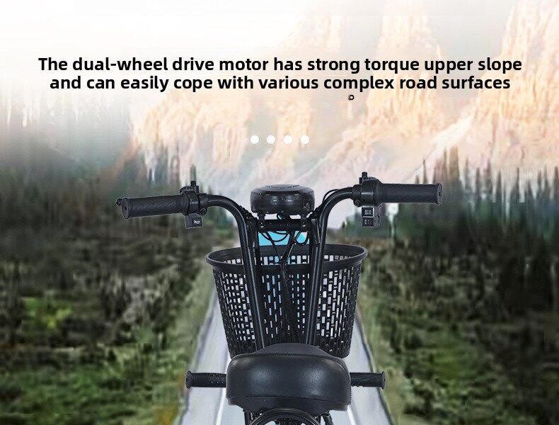2025 EEC Certified Electric Tricycle Open Body 3-Wheel Bicycle Passenger & Cargo Vehicle 36V Voltage