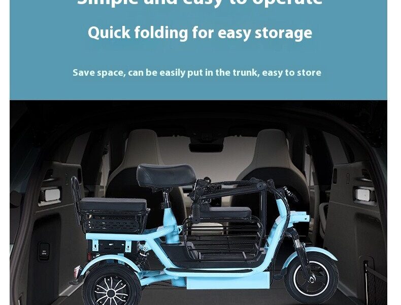 2025 EEC Certified Electric Tricycle Open Body 3-Wheel Bicycle Passenger & Cargo Vehicle 36V Voltage
