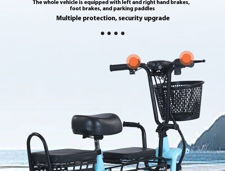 2025 EEC Certified Electric Tricycle Open Body 3-Wheel Bicycle Passenger & Cargo Vehicle 36V Voltage